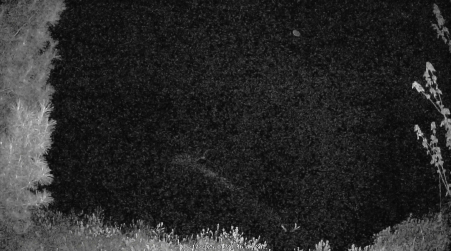 Image from 2025-05-17