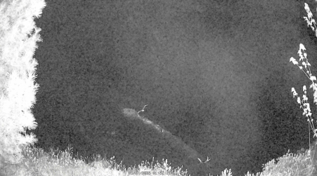 Image from 2025-05-17