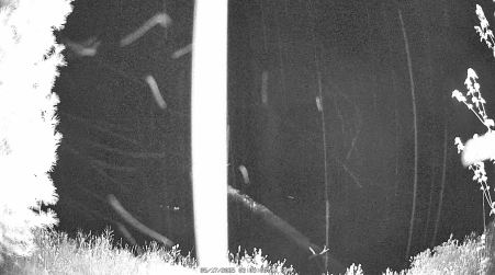 Image from 2025-05-17