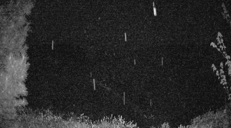 Image from 2025-05-17