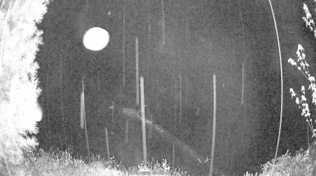 Image from 2025-05-17