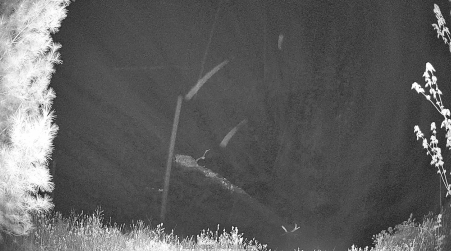 Image from 2025-05-17