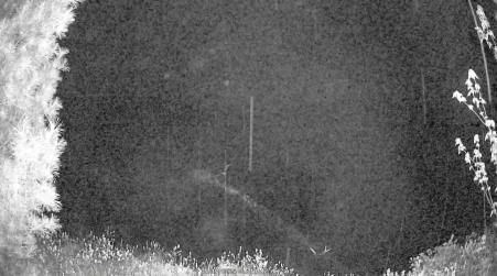 Image from 2025-05-17