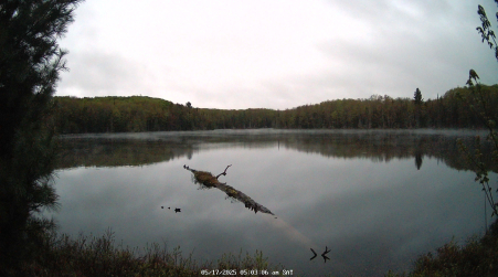 Image from 2025-05-17