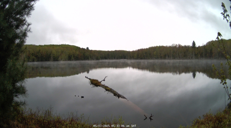 Image from 2025-05-17