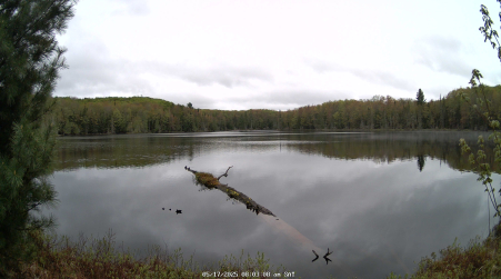 Image from 2025-05-17