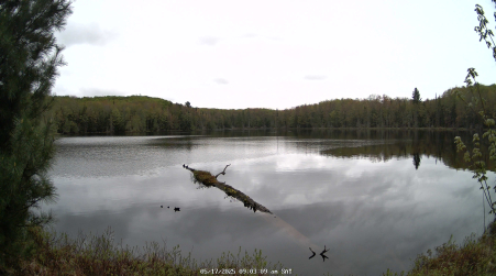 Image from 2025-05-17