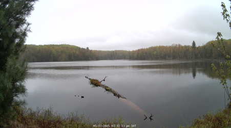 Image from 2025-05-17