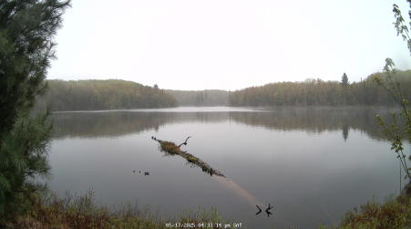 Image from 2025-05-17