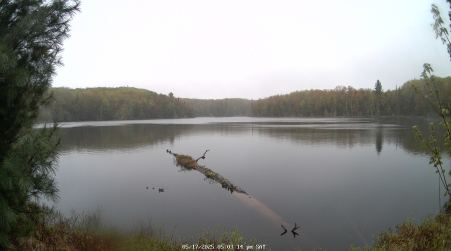 Image from 2025-05-17