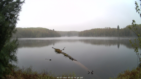 Image from 2025-05-17