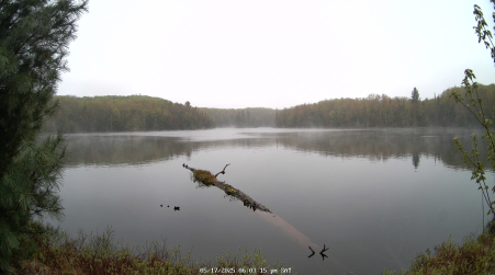 Image from 2025-05-17