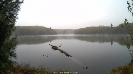 Image from 2025-05-17