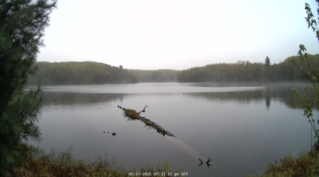 Image from 2025-05-17