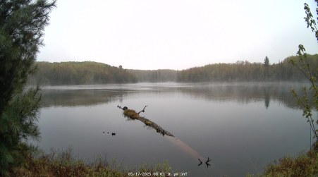 Image from 2025-05-17
