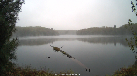 Image from 2025-05-17