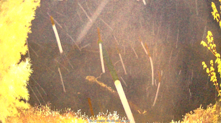 Image from 2025-05-17
