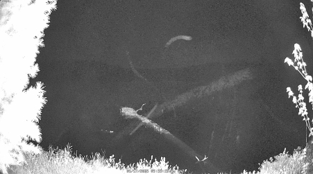 Image from 2025-05-17