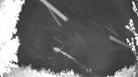 Image from 2025-05-17