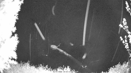 Image from 2025-05-17