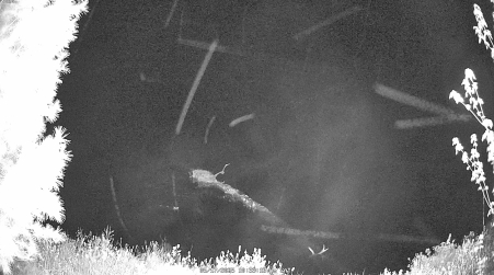 Image from 2025-05-17