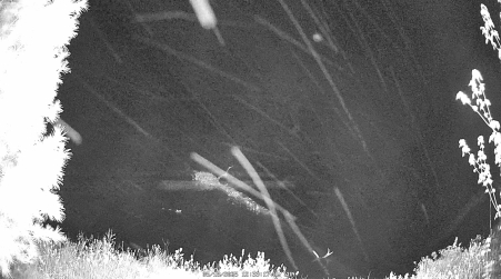 Image from 2025-05-18