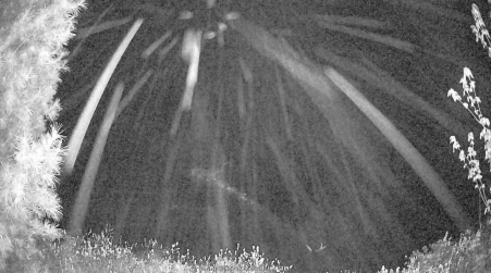 Image from 2025-05-18