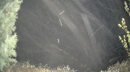 Image from 2025-05-18