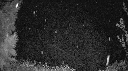 Image from 2025-05-18