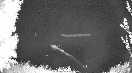Image from 2025-05-18
