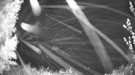 Image from 2025-05-18