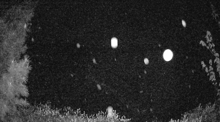 Image from 2025-05-18