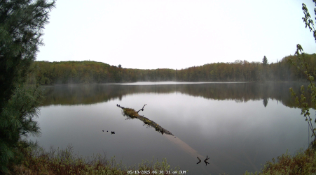 Image from 2025-05-18