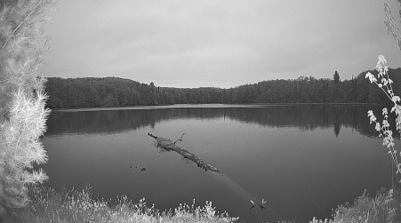 Image from 2025-05-18