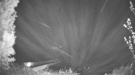 Image from 2025-05-18