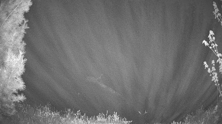 Image from 2025-05-19