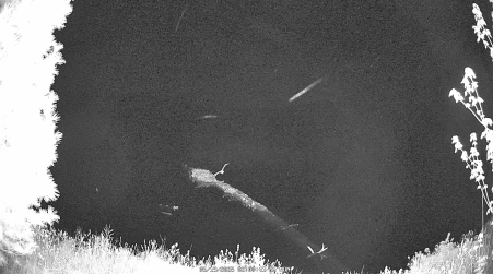 Image from 2025-05-19