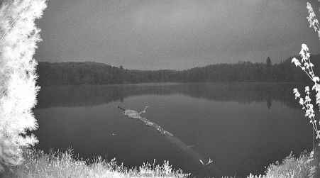 Image from 2025-05-19