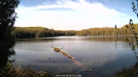 Image from 2025-05-19