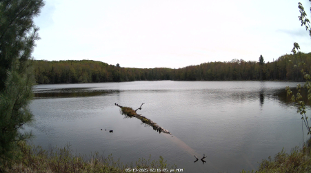 Image from 2025-05-19