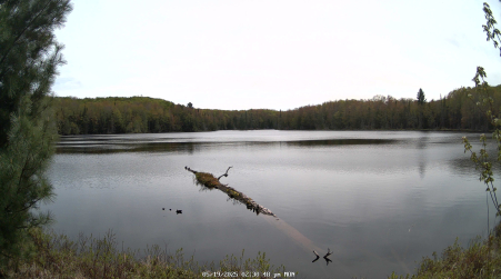 Image from 2025-05-19