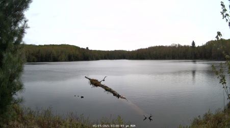Image from 2025-05-19