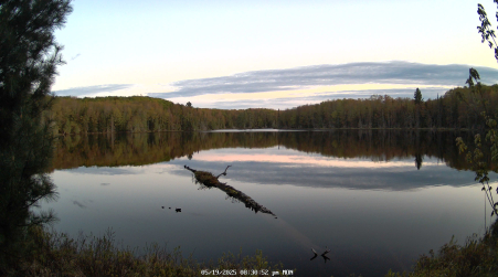 Image from 2025-05-19