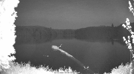 Image from 2025-05-19