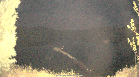 Image from 2025-05-19