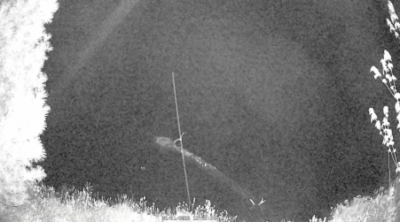 Image from 2025-05-21