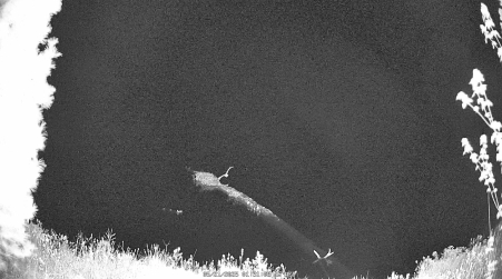 Image from 2025-05-21