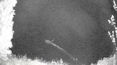 Image from 2025-05-21