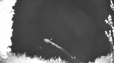 Image from 2025-05-21
