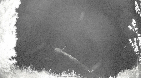 Image from 2025-05-21